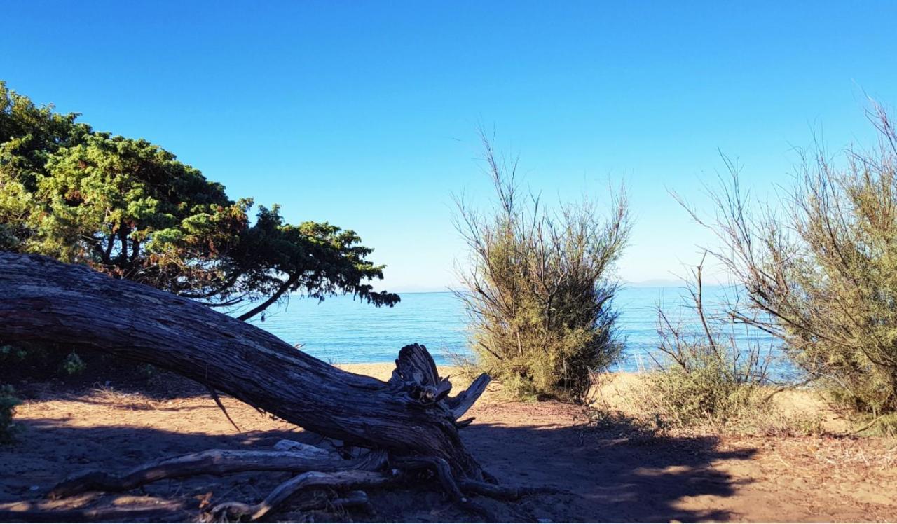 Appartamento Claudi A San Vincenzo Exteriör bild