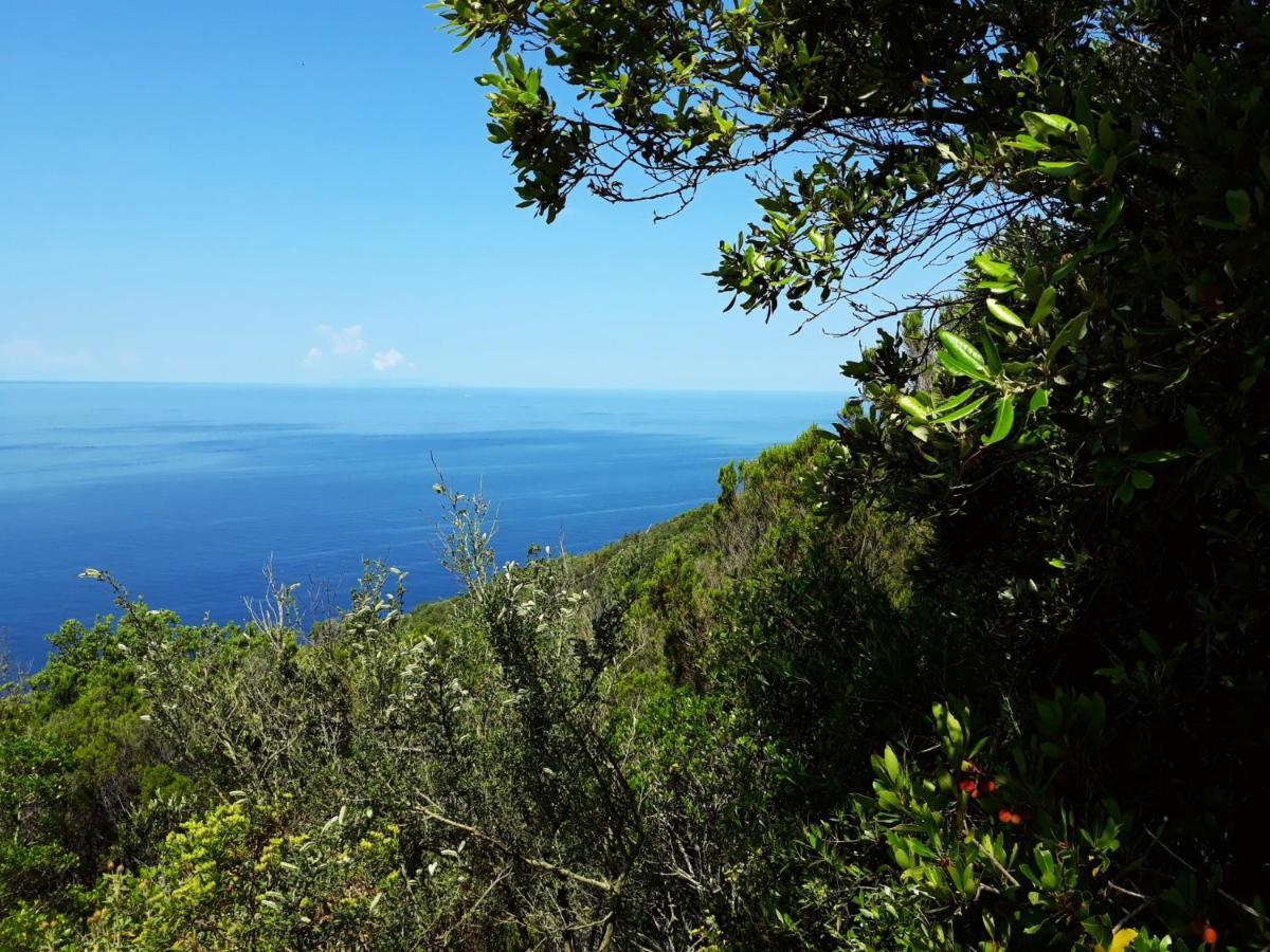 Appartamento Claudi A San Vincenzo Exteriör bild