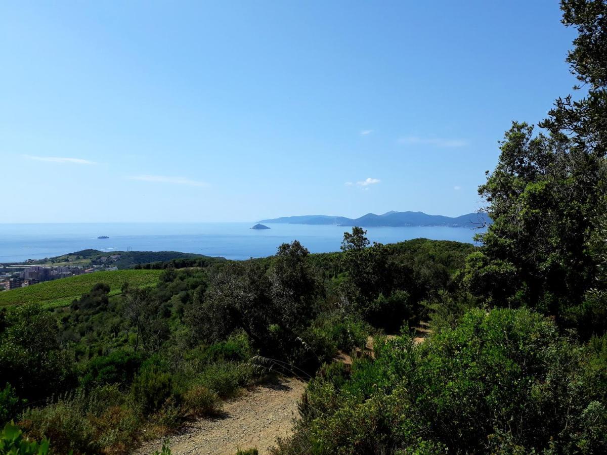 Appartamento Claudi A San Vincenzo Exteriör bild